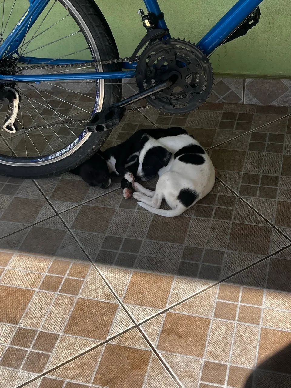 Doação  - Foto 2