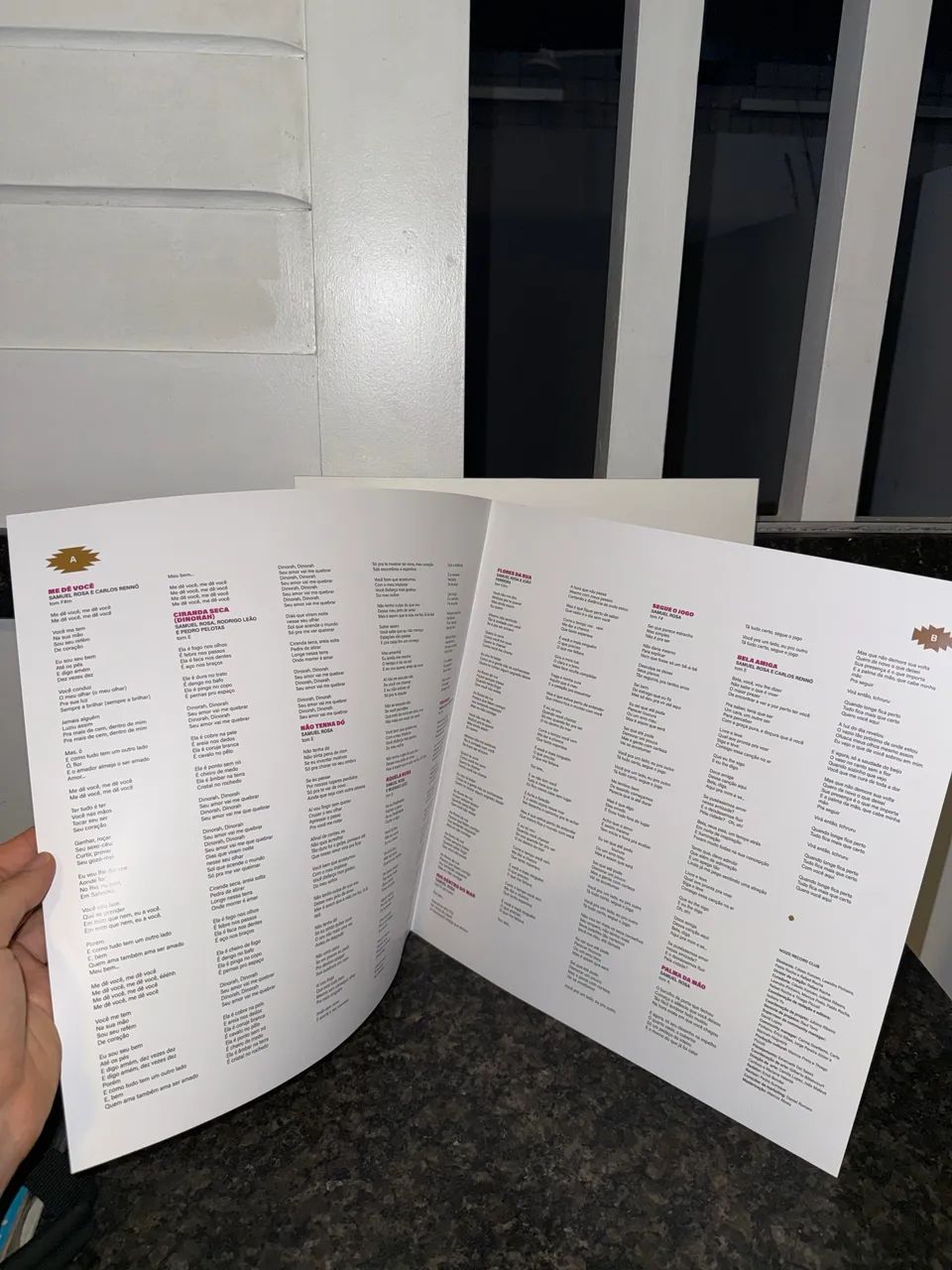 Vinil Samuel Rosa - Rosa NOIZE - Foto 3