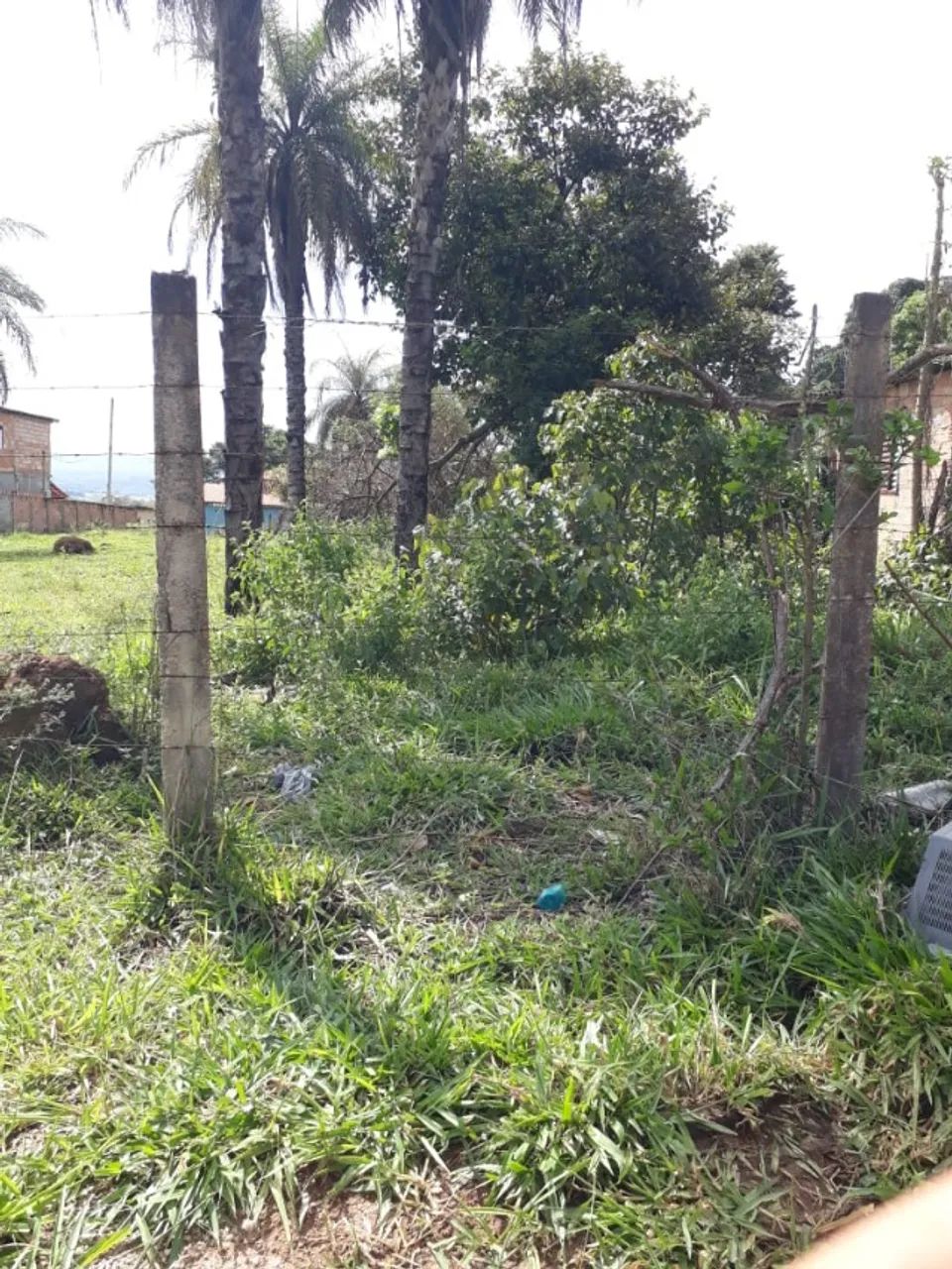 Foto - São Joaquim de Bicas - 