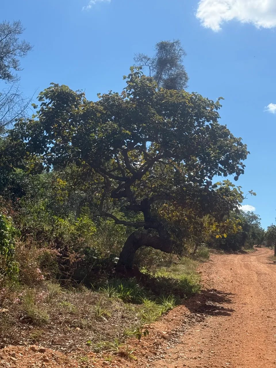 Oportunidade na Serra do Cipó!  - Foto 4