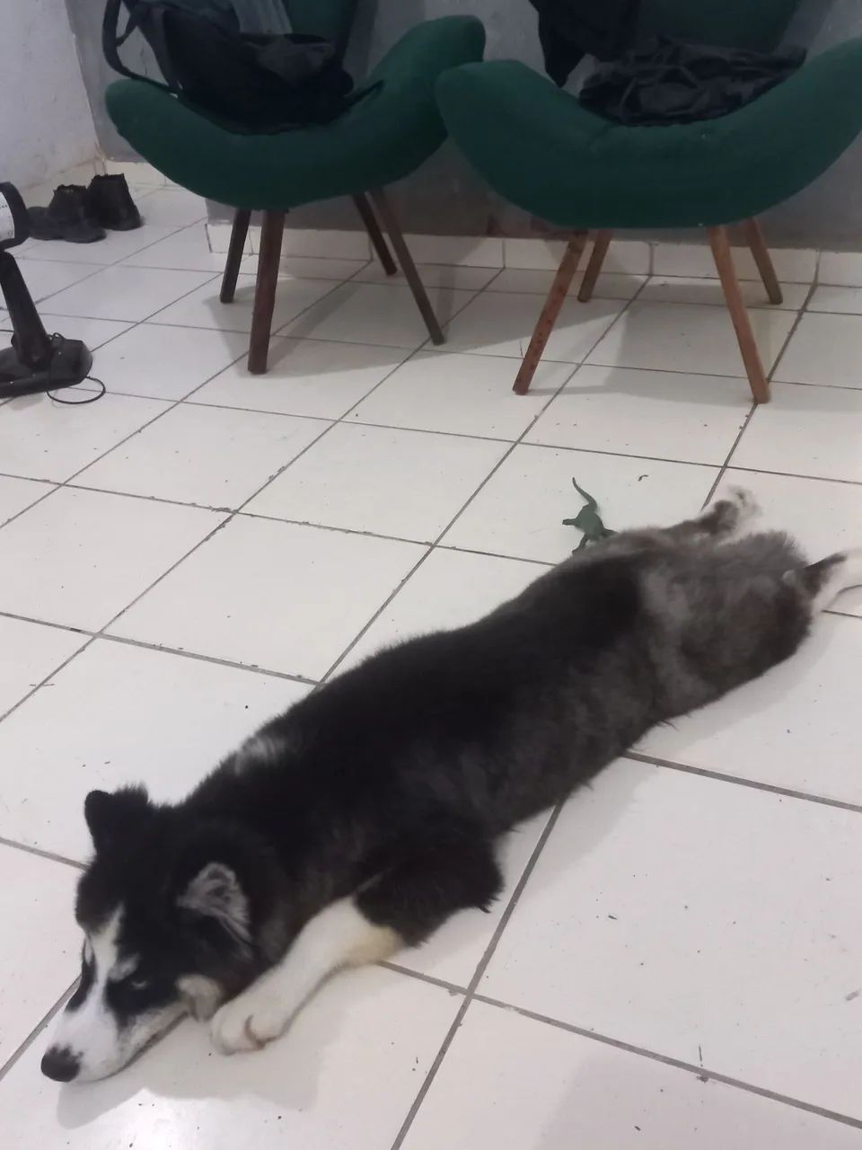 Vendo - Foto 3