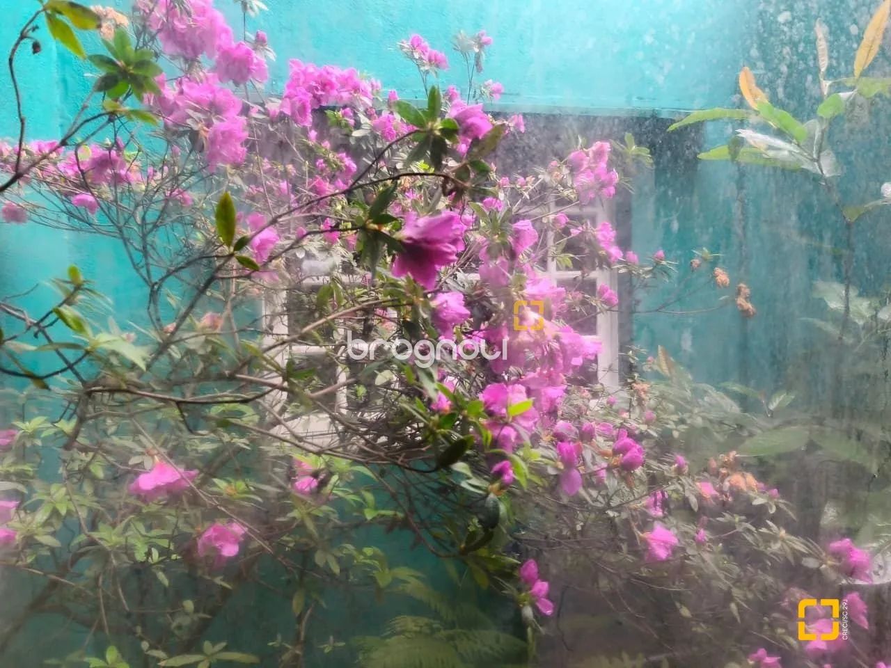 Casa à venda Bairro Agronômica. - Foto 3