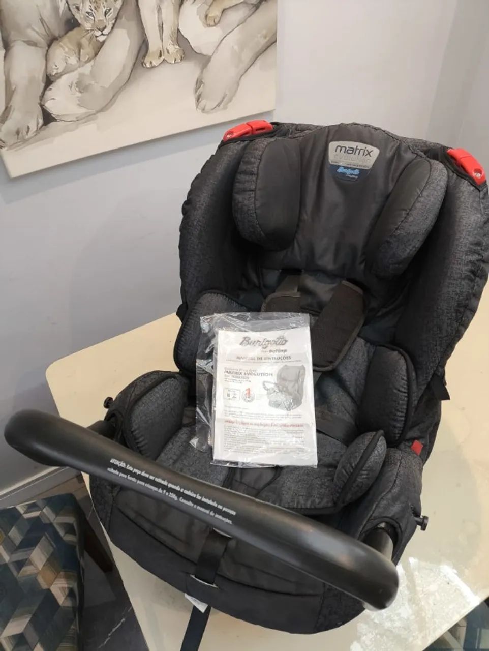 Cadeirinha de bebê para auto Burigotto Matrix Evolution 0 a 25 kg