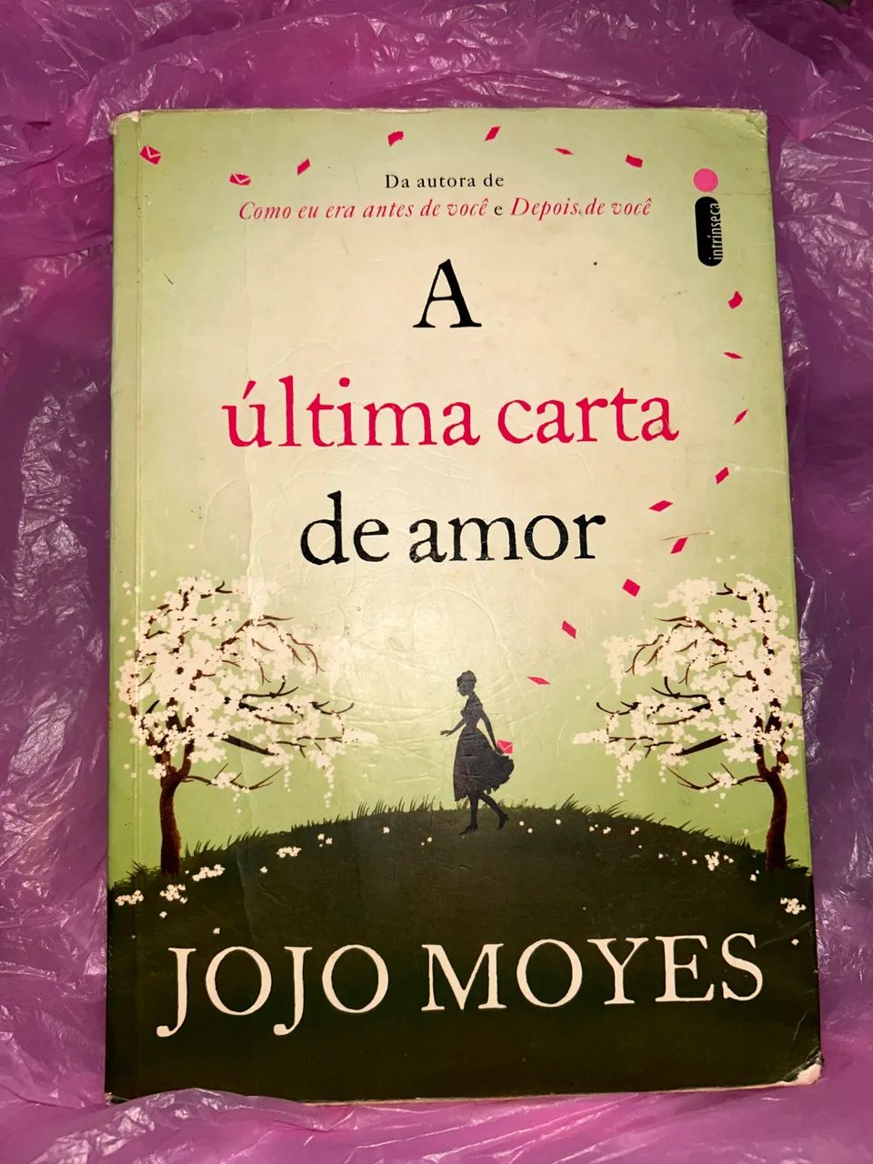 Livro - A última carta de amor 
