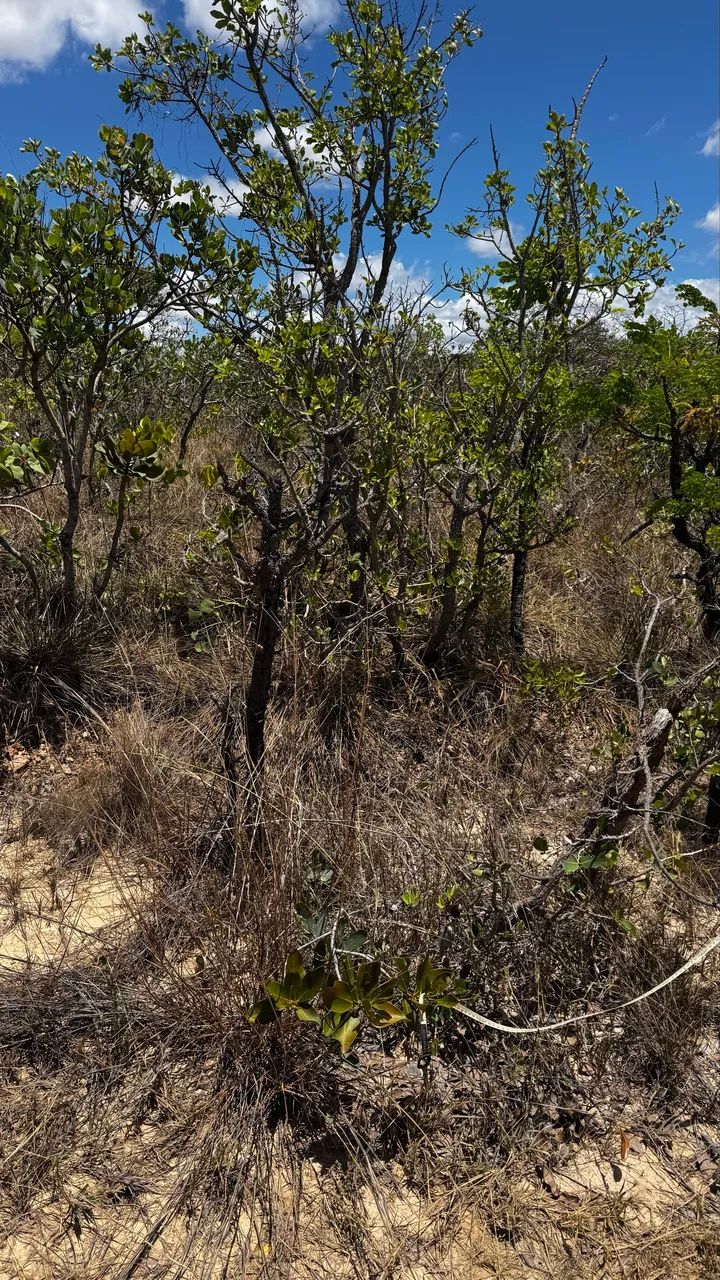 Terreno próximo na Serra do Cipó  - Foto 3