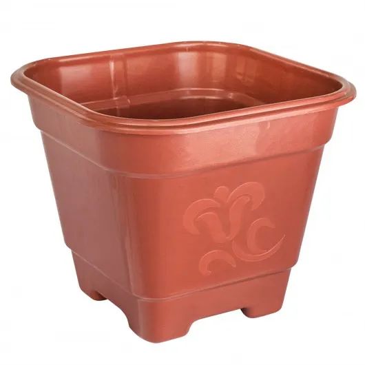Vasos 