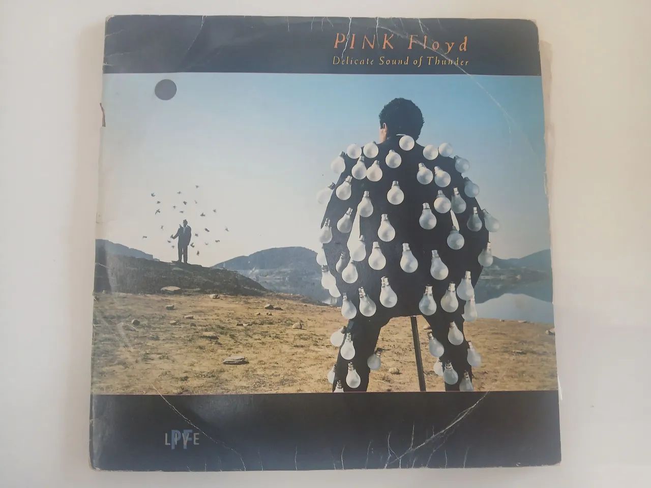 Vinil Pink Floyd 