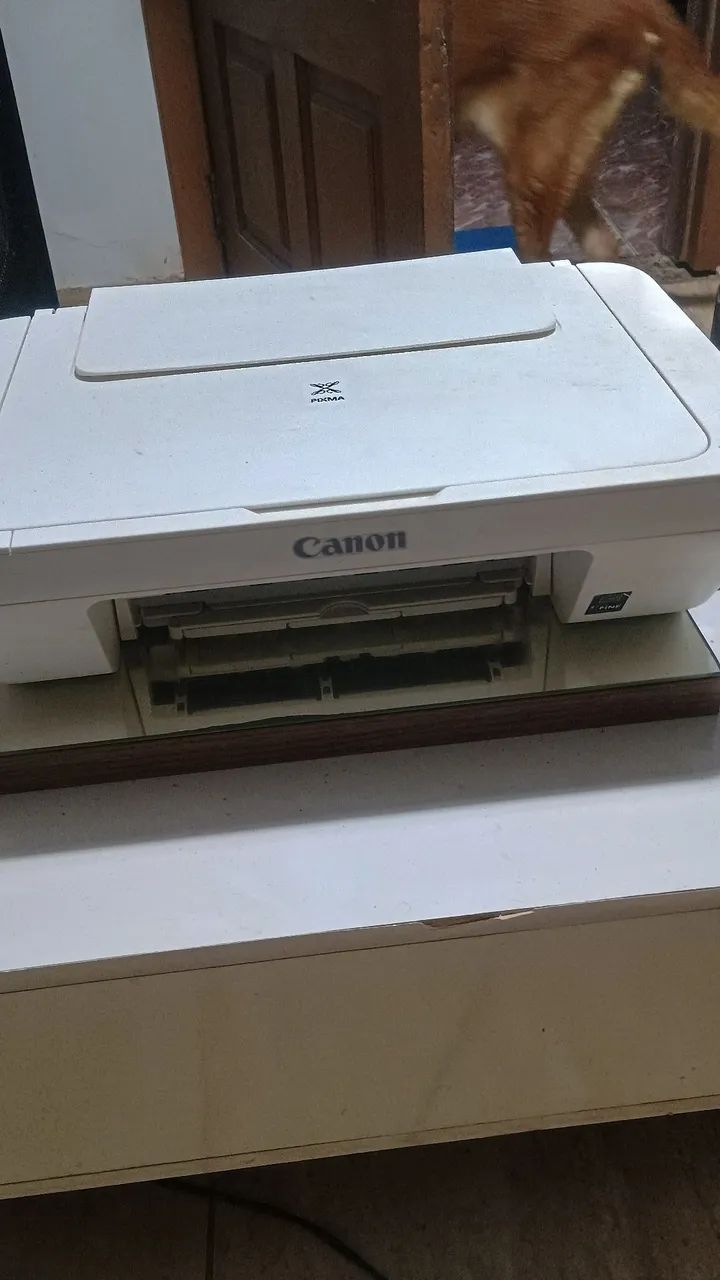 Vendo ou troco 100 pra ir embora . - Foto 3