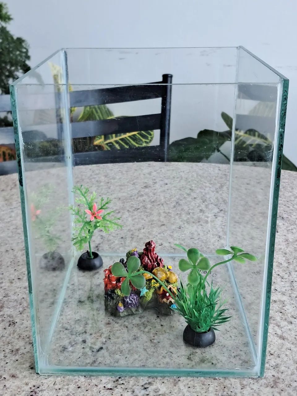 Aquário de vidro com decoração - Foto 2