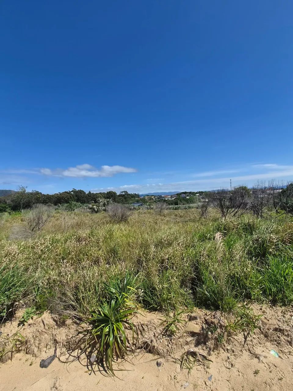 Terreno com parcelamento direto - Foto 4