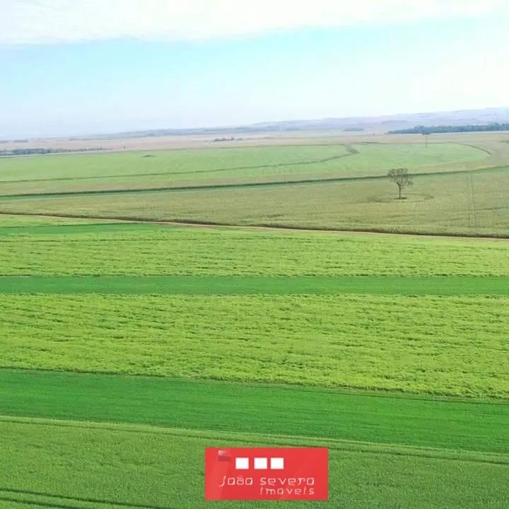 Fazenda para Venda em Sinop - Foto 5
