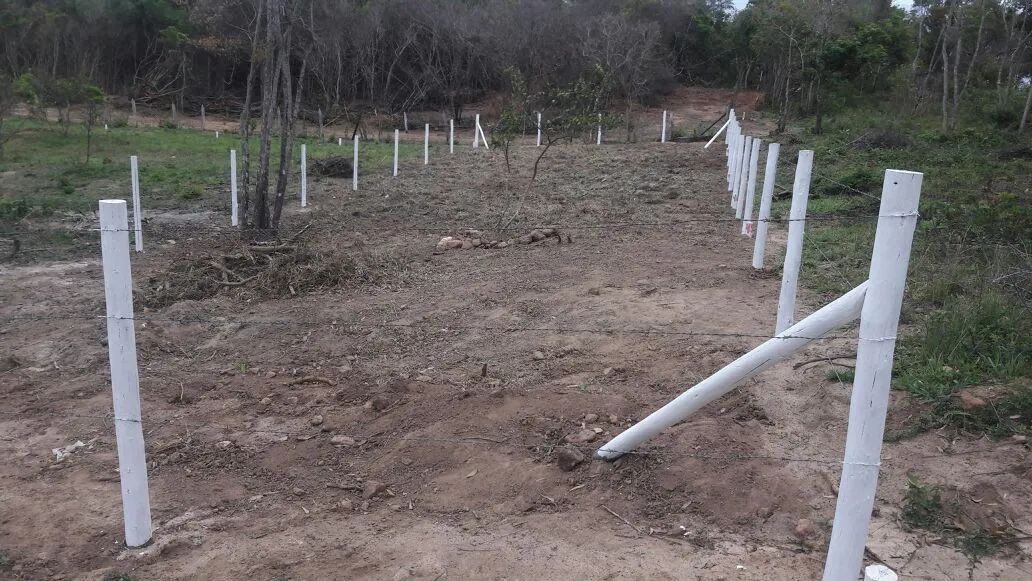 Terreno Villa Verde Búzios  - Foto 2