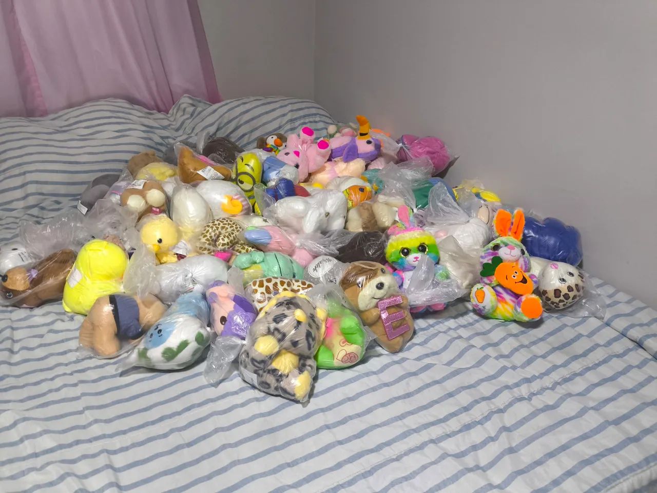 Urso  - Foto 5