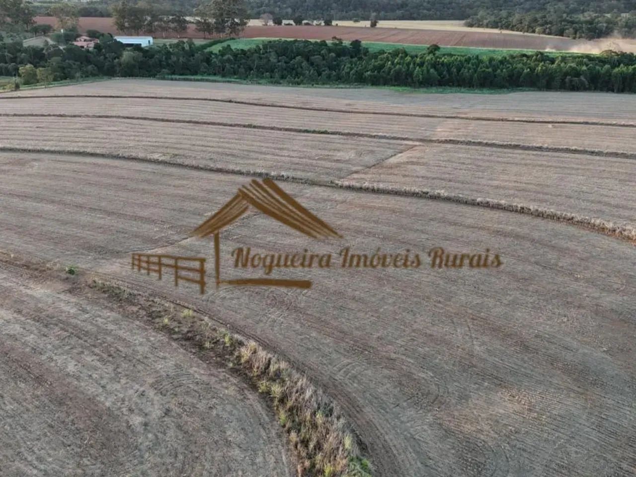 Sítio com 17 alqueires terra vermelha em Quadra/SP - Foto 3