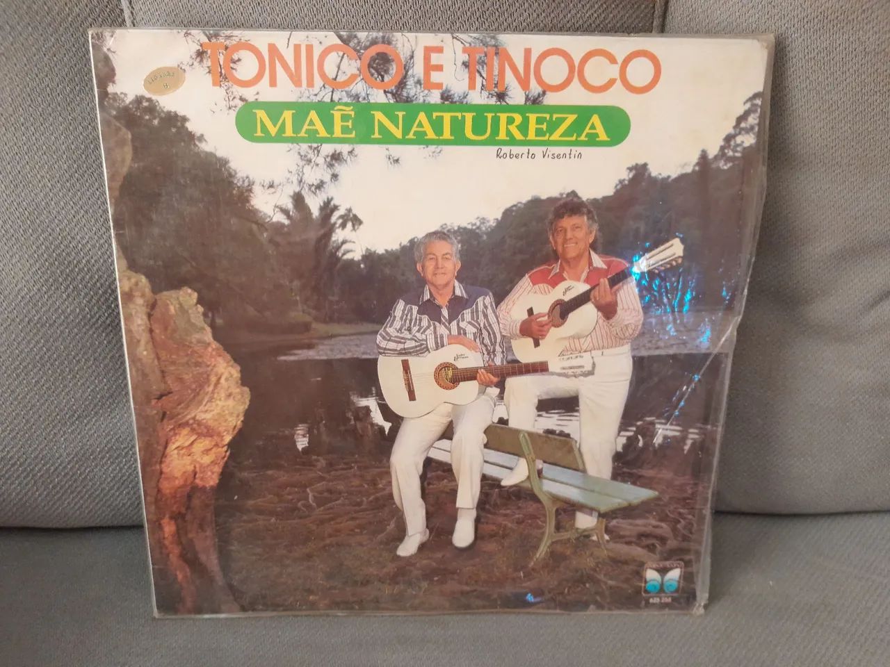 Disco de vinil tonico e tinoco mãe naturesa