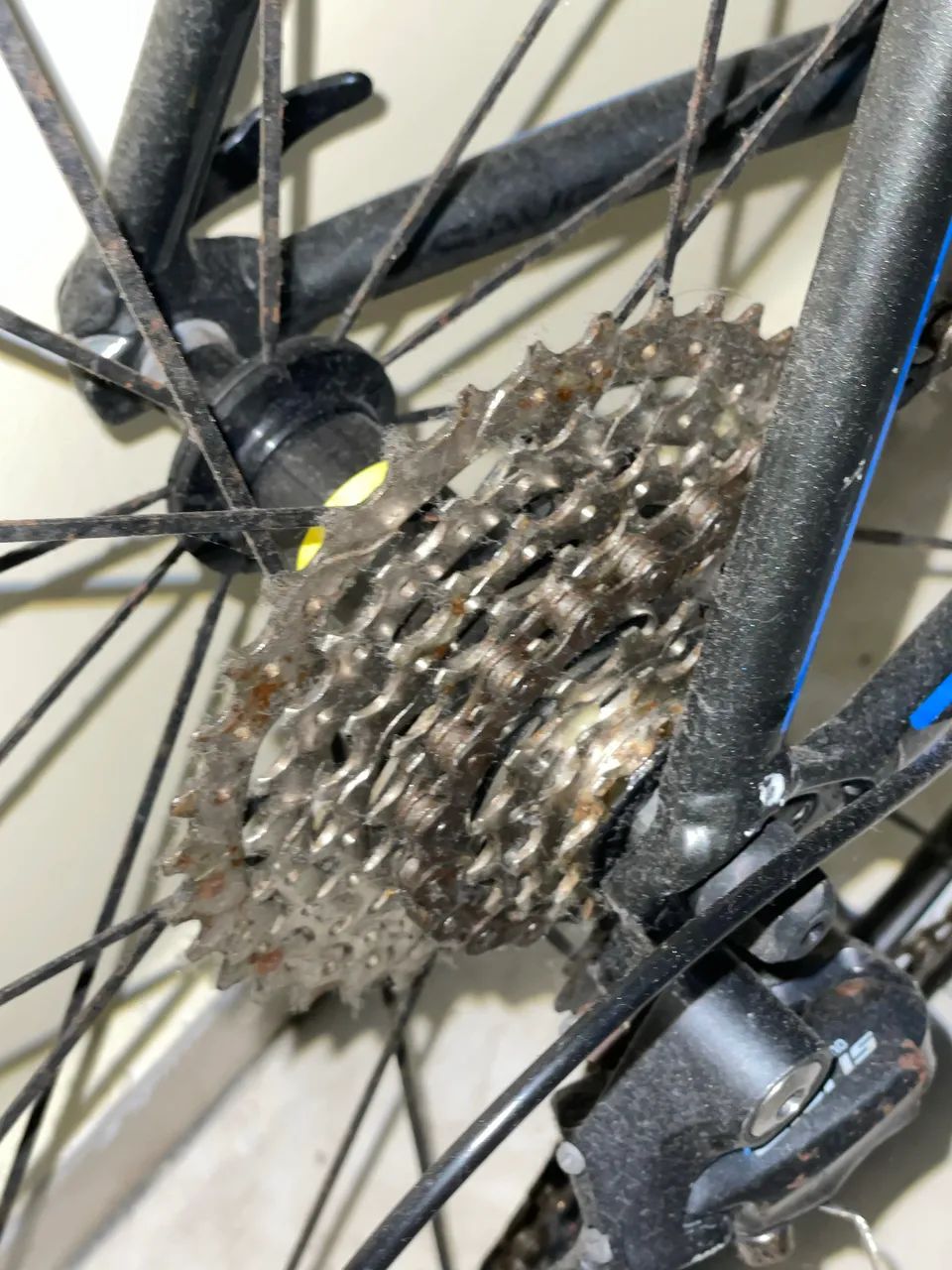 Speed Cannondale Optimus Claris  - Foto 2