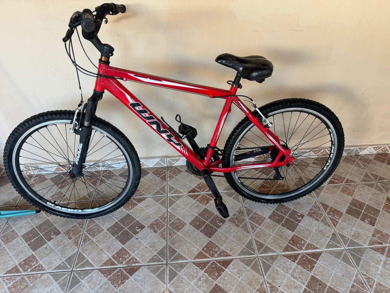 Bicicleta WNY Vermelha 