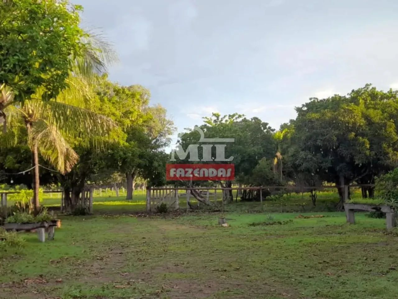 Fazenda em Taipas TO 106 alqueires (513,04 hectares) - Foto 4