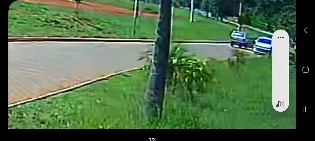 Precisa-se de jardineiro profissional conhecimentos amplos e podas cerca viva, fazer mudas