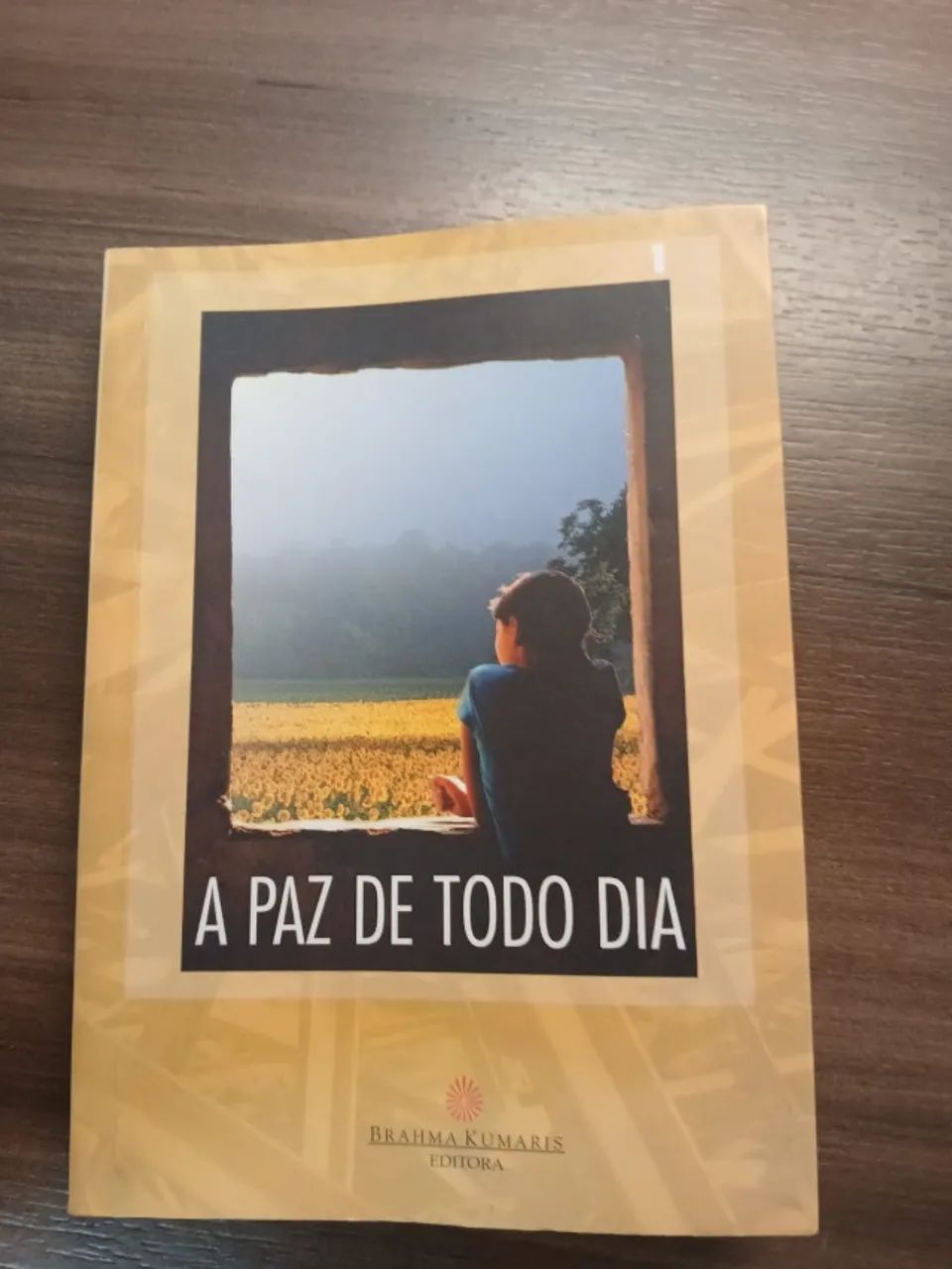 Livro: A Paz de Todo Dia
