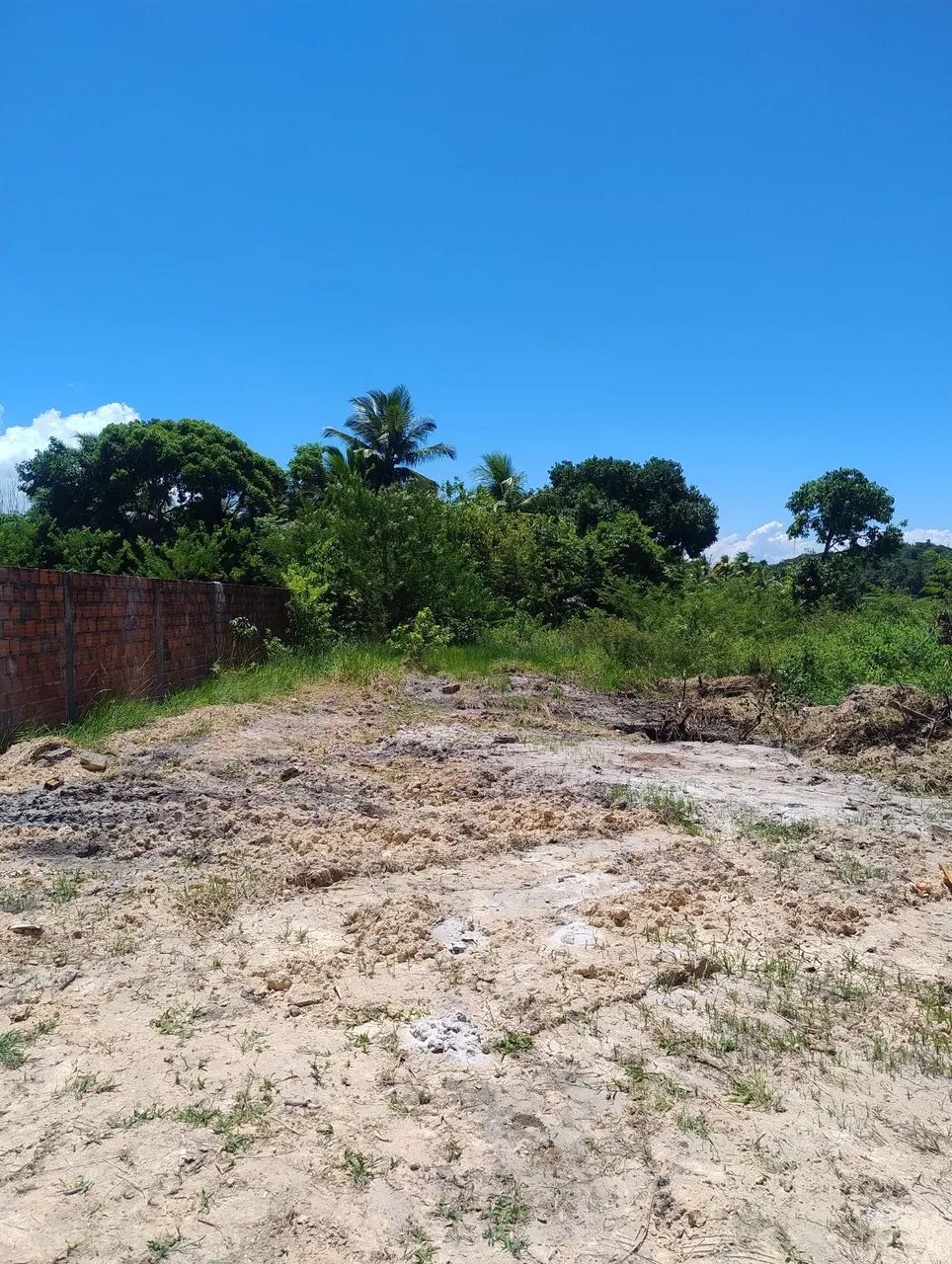 Foto - Vera Cruz - 
