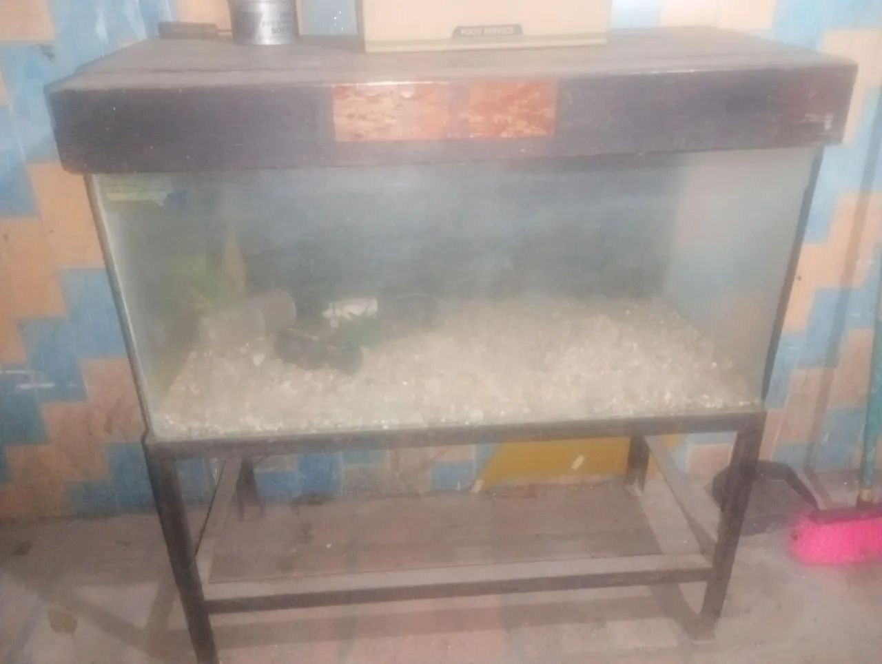 Aquário para peixes - Foto 2