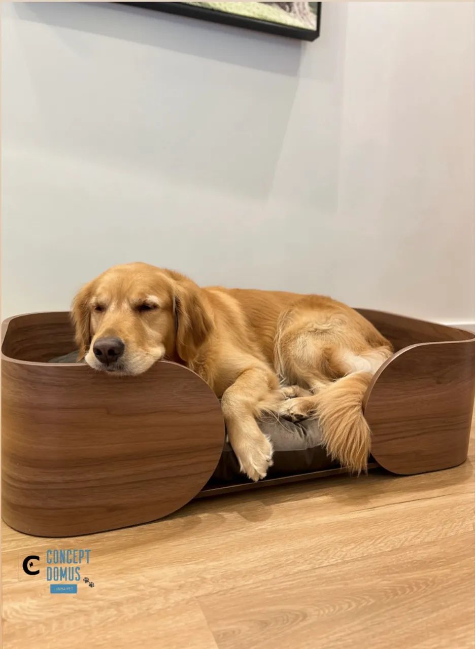 Cama para cachorro 
