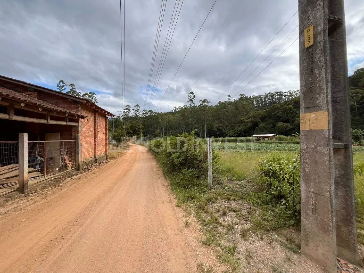 SÍTIO COM CASA DE 3 QUARTOS À VENDA EM NOVA TRENTO  BAIRRO SÃO CAETANO - Foto 3