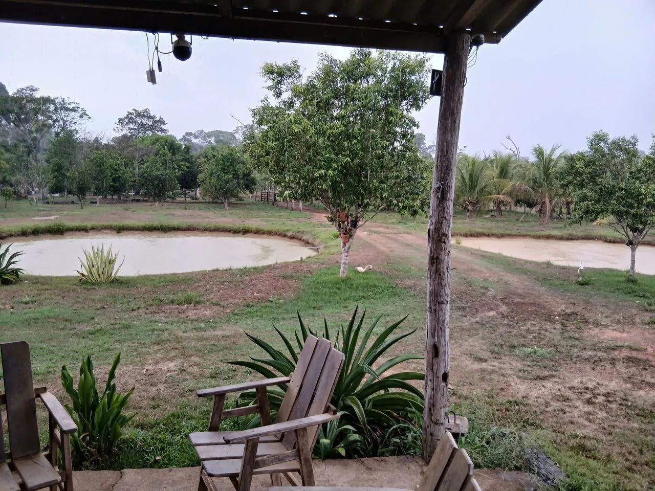 Está saindo a escritura  - Foto 4