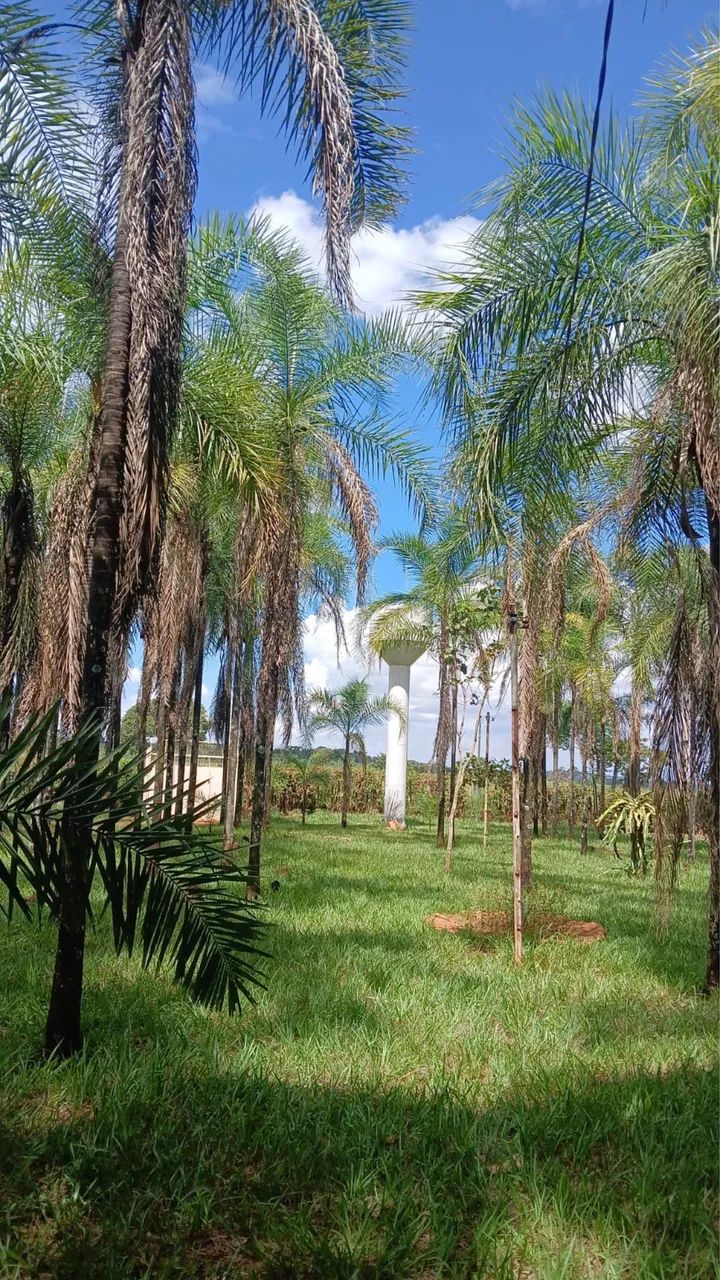 Chácara em Goianira  - Foto 2