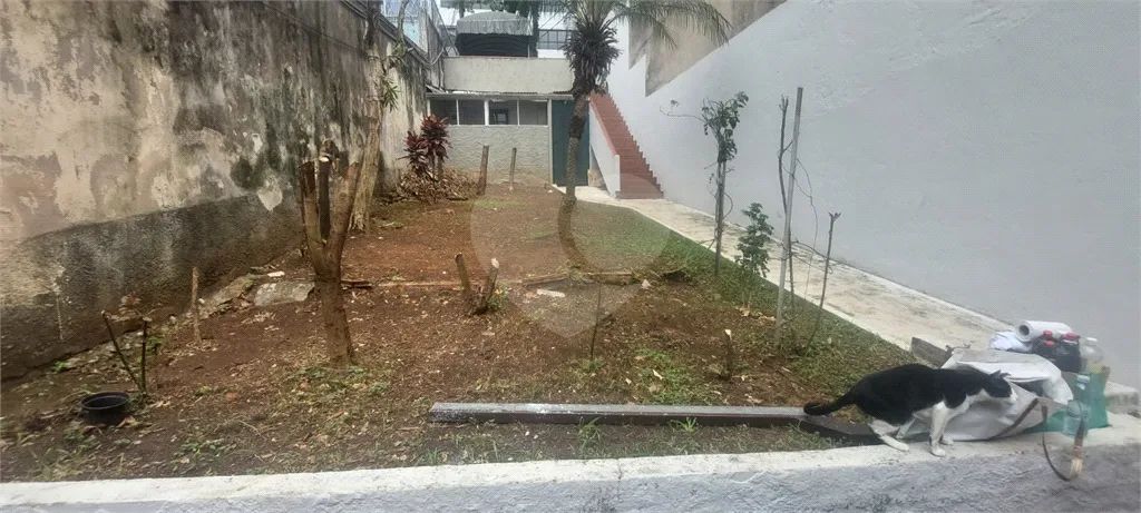 Terreno com 1 quartos à venda em Vila mascote - SP - Foto 3