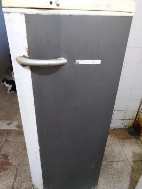 Refrigerator Turns On But Does Not Cool