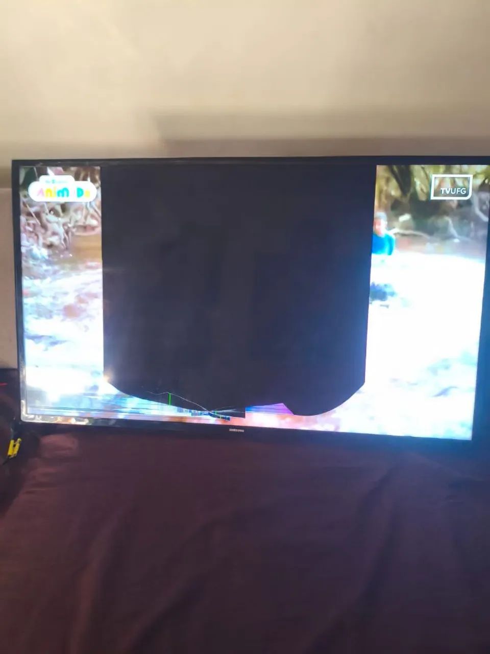Tv com tela danificada 