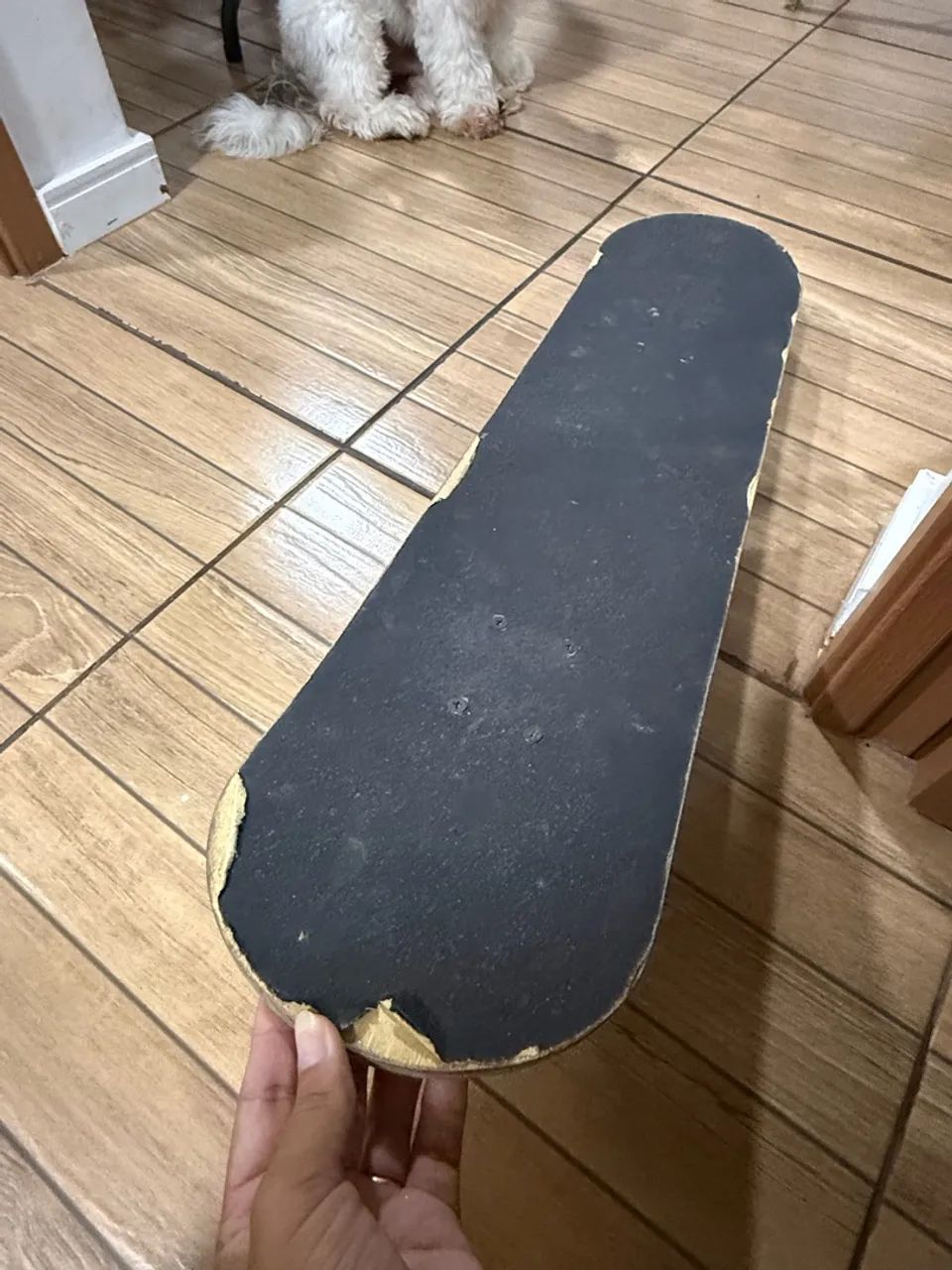 Skate e capacete 