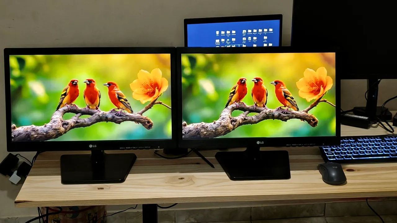 Monitor LG 20 polegadas