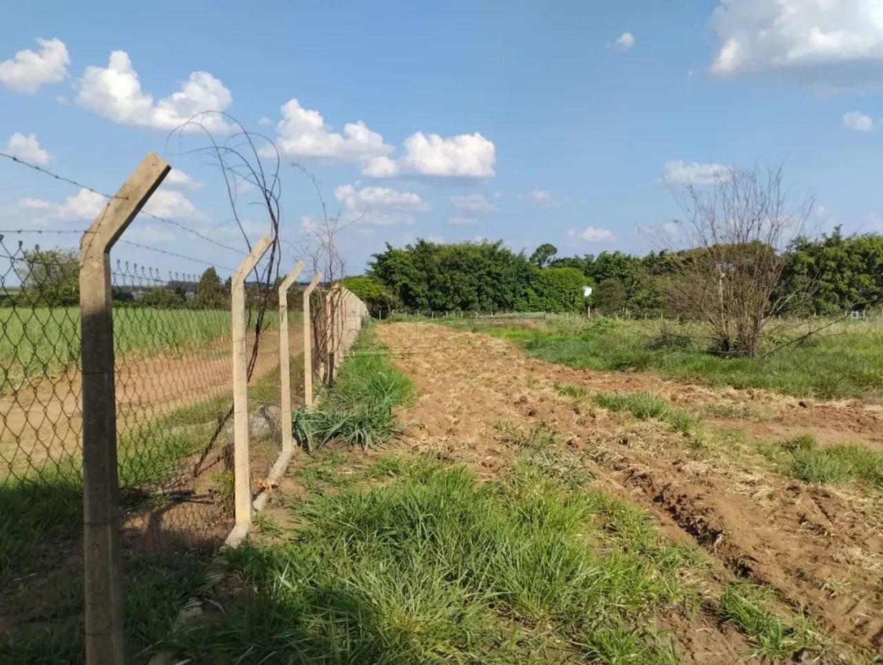 Rural Área em Ibaté - Foto 3
