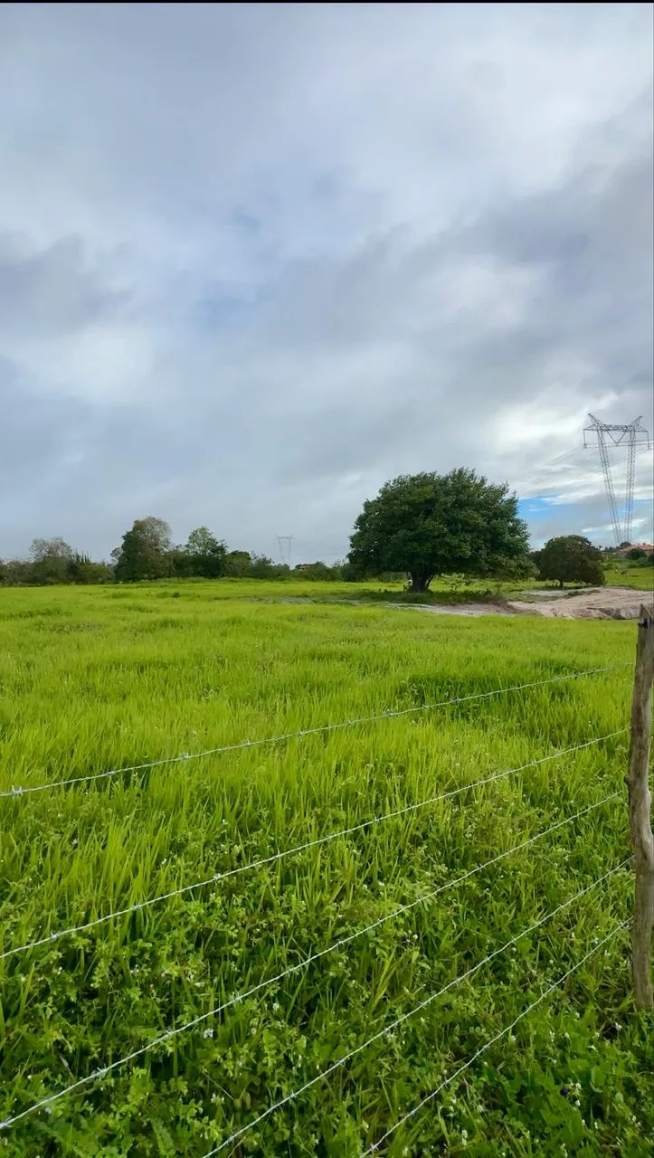 VENDO PROPRIEDADE RURAL - ESPERANÇA PB - Foto 4