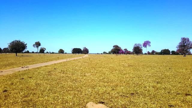 Fazenda 1485 ha Barra do Bugres MT