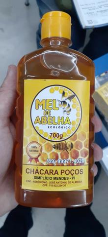 Mel de Abelha Ecológico - Foto 2