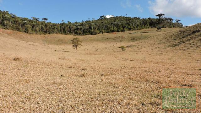 Fazenda com 588,71 hectares, situada na estrada Friburgo-Teresópolis, na altura de Vieira - Foto 14