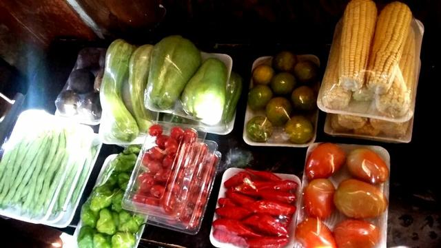 Verduras organicas , para revenda e cliente final - Foto 3