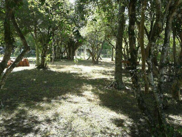Vendo ou Troco - Foto 2