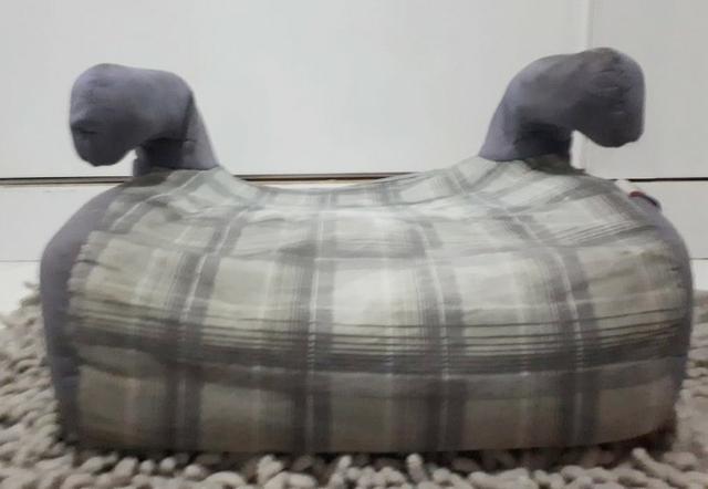 Assento de carro