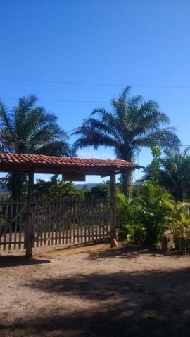 Vendo sítio em Ilhéus - Foto 5