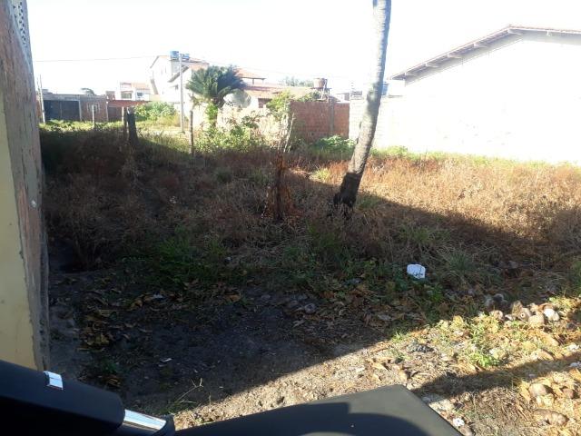 Terreno 8x20 em São José da Coroa Grande - Foto 2