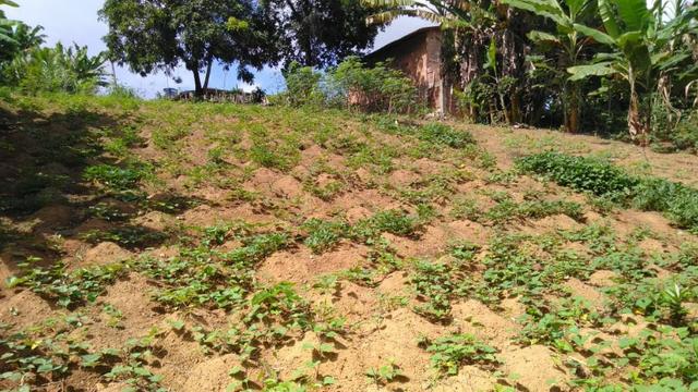 Terreno 600 mt2 - Foto 3