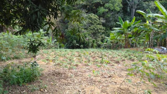 Terreno 600 mt2 - Foto 2