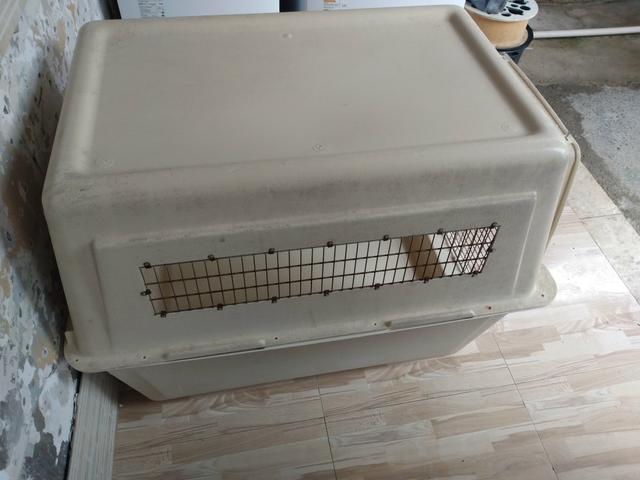 Casa de cachorro - Foto 4