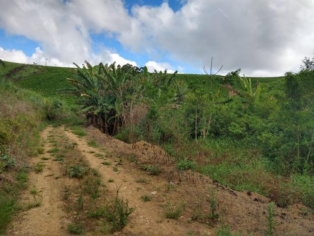 Fazenda Pronta Para Agricultura, ou etc, em Cortes-PE - Foto 6