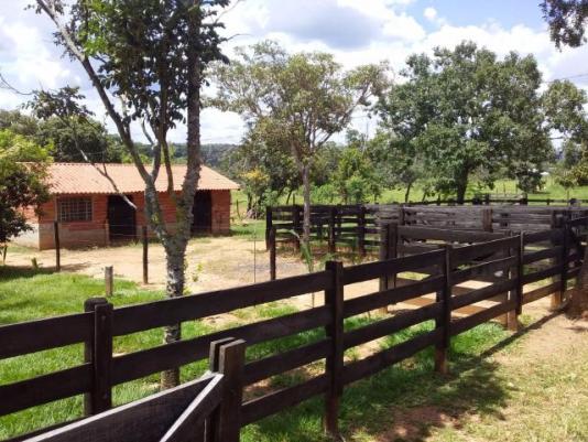Fazenda toda formada de 5 alqueires no sapé - Foto 3